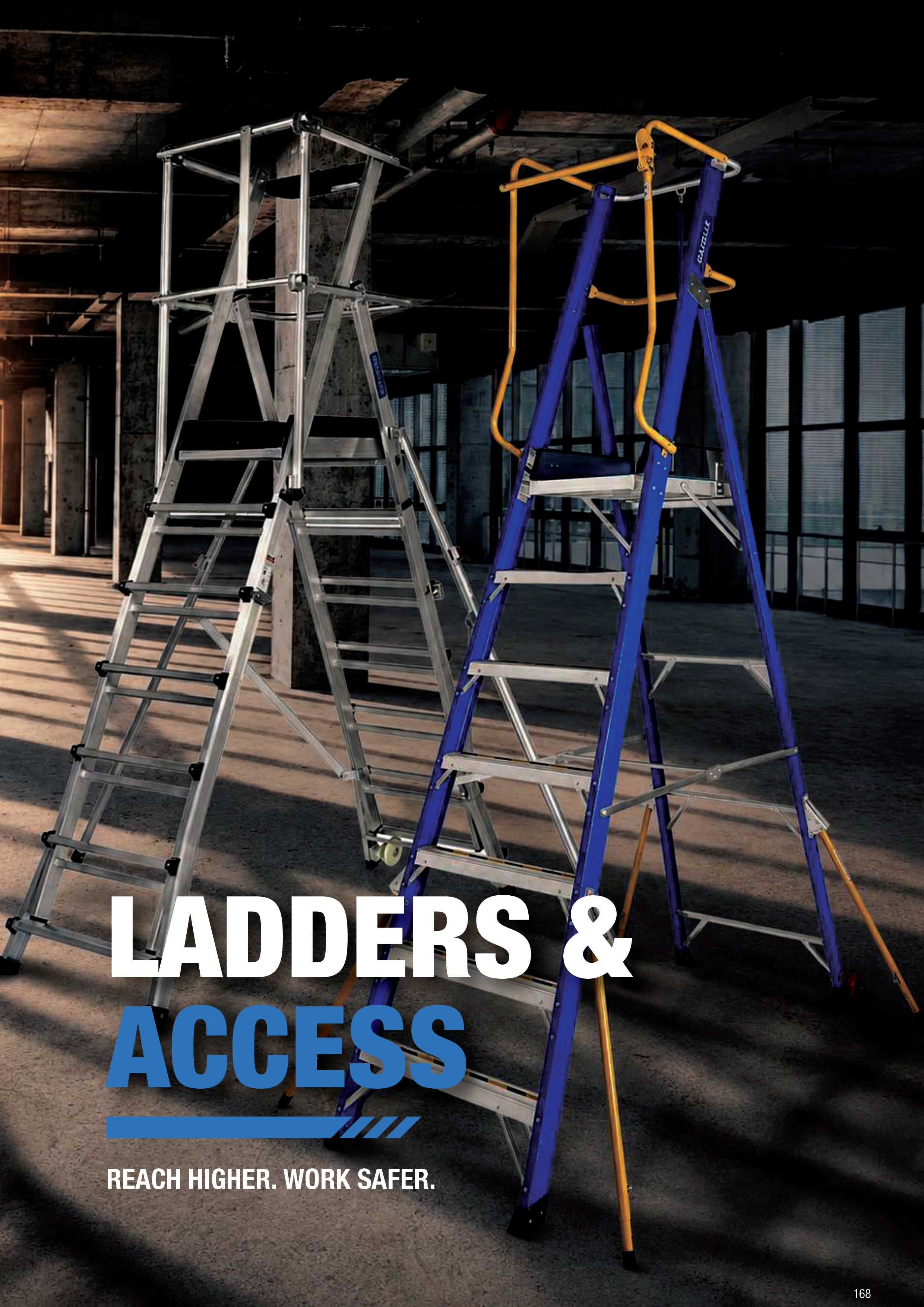 Ladders and Access Catalog
